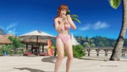 1girl 3d animated animated_gif beach bent_over bikini breasts brown_eyes brown_hair cleavage dead_or_alive dead_or_alive_xtreme dead_or_alive_xtreme_3_fortune female_focus hip_focus kasumi_(doa) large_breasts leaning legs long_hair outdoors sky solo swimsuit rating:Sensitive score:17 user:Aman2k16