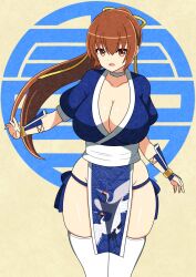  1girl breasts brown_eyes brown_hair cleavage dead_or_alive gians_noby huge_breasts kasumi_(doa) large_breasts long_hair looking_at_viewer ninja pelvic_curtain ponytail short_sleeves solo thighhighs wide_hips  rating:Questionable score:16 user:zombiespacial