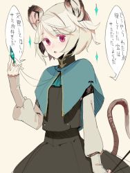  1girl animal_ears blush confession fakepucco female_focus grey_hair mouse_ears mouse_tail nazrin pov short_hair solo tail touhou translation_request  rating:Sensitive score:6 user:qw3rty67