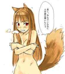  00s 1girl animal_ears breasts breath brown_hair cleavage clenched_teeth cold crossed_arms fang graphite_(medium) holo long_hair mixed_media navel nude out-of-frame_censoring red_eyes sketch solo spice_and_wolf tail teeth tetsu_(kimuchi) traditional_media translated trembling wolf_ears wolf_tail  rating:Questionable score:23 user:danbooru