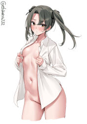  1girl blush breasts breasts_apart collarbone collared_shirt commentary cowboy_shot cropped_legs dress_shirt ebifurya groin hair_ribbon highres kantai_collection long_hair long_sleeves looking_at_viewer naked_shirt navel one-hour_drawing_challenge open_clothes open_shirt parted_bangs ribbon shirt sidelocks simple_background small_breasts solo stomach thighs twintails twitter_username white_background white_shirt yellow_eyes zuikaku_(kancolle) 