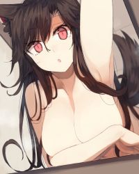 1girl animal_ears arm_up armpits breasts brown_hair commentary_request covering_privates covering_breasts dutch_angle from_below hair_between_eyes hanging_breasts imaizumi_kagerou large_breasts long_hair looking_at_viewer lying nude on_stomach parted_lips red_eyes sidelocks solo suminagashi tail touhou upper_body wolf_ears wolf_tail rating:Questionable score:56 user:danbooru