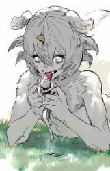  2boys androgynous animal_ears anoko_(chiikawa) body_fur chiikawa fangs full_body giant grass grey_eyes grey_hair hair_between_eyes hands_up highres horns lantern_madoyoi licking licking_another&#039;s_head lifting_person looking_at_another lying male_focus monster_boy multiple_boys on_stomach open_mouth outdoors personification short_hair simple_background single_horn symbol-shaped_pupils tongue tongue_out upper_body white_background white_fur white_hair yellow_horns 