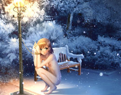 1girl :o barefoot bdsm bench blush bondage bound bound_wrists breasts brown_eyes brown_hair bush cold completely_nude denhijou_niki exhibitionism highres lamppost long_legs misaka_mikoto night nipples nude open_mouth outdoors public_indecency rope short_hair small_breasts snow snowing solo squatting tiptoes toaru_kagaku_no_railgun toaru_majutsu_no_index toes tree rating:Questionable score:277 user:danbooru