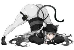  1girl absurdres animal_ears arknights arm_rest ass breasts cat_ears cat_tail flexible guilty_gear guilty_gear_strive hella_p highres huge_ass jack-o&#039;_challenge jacket large_breasts long_hair looking_at_viewer official_alternate_costume schwarz_(arknights) schwarz_(skyline)_(arknights) shiny_clothes silver_hair simple_background solo spread_legs stretching tail thighs top-down_bottom-up white_background white_jacket wide_spread_legs yellow_eyes  rating:Sensitive score:116 user:danbooru