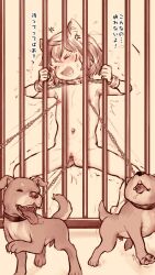  1girl ^^^ anger_vein animal_ears bar_censor bars bdsm bondage bondage_cuffs bound cat_ears cat_girl censored chain chain_leash clitoris_piercing closed_eyes collar completely_nude crying_with_eyes_closed cuffs dog female_focus flat_chest highres japanese_text kurotsuki_(luowei99) leash legs_apart loli monochrome navel nipple_piercing nipples nude open_mouth original piercing pussy pussy_juice pussy_piercing short_hair thighs translated trembling 