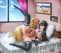  1boy 1girl absurdres animal_penis bed bestiality black_eyes black_hair black_thighhighs blazer blush bottomless clothed_sex cum cum_in_pussy dog feet fetus french_kiss full_body golden_retriever hetero highres indoors jacket kiss knotted_penis legs lying moaning no_shoes open_mouth penis pillow pregnant pubic_hair puppy pussy school_uniform sex skindentation spread_legs thighhighs thighs uncensored vaginal what window x-ray yahari_ore_no_seishun_lovecome_wa_machigatteiru. yukinoshita_yukino  rating:Explicit score:168 user:GelbooruN_201