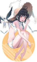1girl ahoge barefoot bird black_hair blue_archive braid crying groin halo hat highres leaf long_hair miyu_(blue_archive) miyu_(swimsuit)_(blue_archive) open_mouth rafrog red_eyes seagull simple_background straw_hat tears thighs rating:Sensitive score:9 user:danbooru