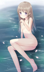  1girl atelier_(series) atelier_totori bad_id bad_pixiv_id barefoot breasts brown_hair completely_nude feet female_focus flat_chest highres legs long_hair lying nipples nude ohirune partially_submerged petals purple_eyes small_breasts solo totooria_helmold water  rating:Questionable score:56 user:danbooru