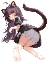 1girl absurdres ahoge all_fours animal_ear_fluff animal_ears bare_legs barefoot black_dress bloomers blush closed_mouth dress feet from_behind full_body highres long_hair looking_at_viewer looking_back nahaki original puffy_short_sleeves puffy_sleeves purple_hair short_sleeves simple_background soles solo tail toes transparent_background underwear white_bloomers yellow_eyes rating:Questionable score:10 user:danbooru
