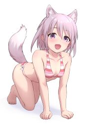  1girl :d absurdres alice_gear_aegis animal_ear_fluff animal_ears barefoot bikini dog_ears dog_girl dog_tail extra_ears feet full_body grey_hair happy highres hirasaka_yotsuyu hutokumi kemonomimi_mode looking_at_viewer open_mouth pink_eyes pink_hair short_hair simple_background smile striped_bikini striped_clothes swimsuit tail tail_raised toes white_background 