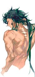  1boy aojizesi back earrings green_hair highres jewelry jiyan_(wuthering_waves) long_hair looking_at_viewer nude scar scar_on_arm scar_on_back tattoo upper_body wuthering_waves yellow_eyes 