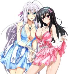  10s 2girls ahoge black_hair blue_dress blue_eyes breasts cleavage collarbone covered_erect_nipples dress extraction hair_ribbon hairband high_school_dxd highres jewelry large_breasts long_hair looking_at_viewer multiple_girls necklace pink_dress pink_eyes pink_hairband purple_ribbon raynare ribbon rossweisse shiny_skin sideboob silver_hair skirt_hold smile transparent_background  rating:Sensitive score:50 user:danbooru