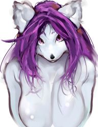  breasts furry highres sindoll tagme  rating:Questionable score:24 user:Zogar