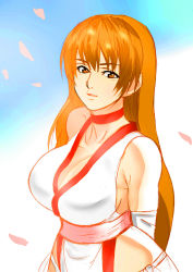  1girl breasts brown_eyes brown_hair cleavage collarbone dead_or_alive highres hip_focus image_sample kasumi_(doa) kbt-type large_breasts lips pixiv_sample resized sakura_petals solo tecmo wide_hips  rating:Questionable score:22 user:jojosstand