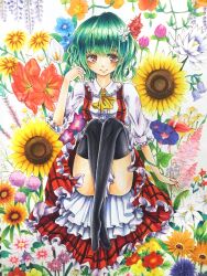  1girl absurdres ascot black_thighhighs blue_flower blush chesscure closed_mouth commentary_request flower flower_request frilled_skirt frills full_body green_hair hair_flower hair_ornament highres kazami_yuuka looking_at_viewer plaid plaid_skirt red_eyes red_skirt red_vest shirt short_hair short_sleeves skirt smile solo sunflower thighhighs touhou vest white_flower white_shirt yellow_ascot 
