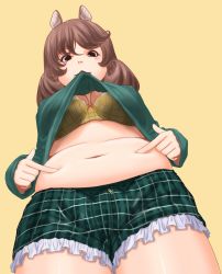 1girl :3 animal_ears belly bra breasts brown_eyes brown_hair cleavage clothes_lift eyebrows from_below highres kamisuki large_breasts lingerie long_hair midriff mouse_ears mouth_hold navel original plaid plump poking poking_belly shirt_lift shorts solo underwear zipper rating:Sensitive score:50 user:danbooru