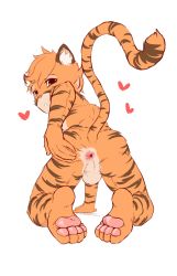  1boy anus ass cat_boy completely_nude feet furry furry_male green_eyes highres male_focus nude orange_hair original presenting shota solo tail tiger_boy xienoan  rating:Explicit score:126 user:harucho