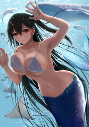  1girl against_glass ahoge air_bubble aquarium azur_lane bare_shoulders bikini bikini_top_only black_hair breast_press breasts breasts_on_glass bubble cleavage closed_mouth collarbone commentary_request crossed_bangs fish hair_between_eyes highres large_breasts light_rays long_hair looking_at_viewer manta_ray mermaid monster_girl monsterification navel one_side_up red_eyes scales shigatsu_(4gate) solo_focus split_tail stomach swimsuit taihou_(azur_lane) underwater untied_bikini very_long_hair wet wet_clothes white_footwear  rating:Sensitive score:58 user:danbooru