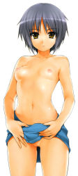  00s 1girl blue_hair breasts cleft_of_venus clothes_lift female_focus flat_chest ishikei looking_at_viewer nagato_yuki nipples no_panties pussy short_hair simple_background skirt skirt_lift small_breasts solo standing suzumiya_haruhi_no_yuuutsu topless uncensored white_background yellow_eyes  rating:Explicit score:169 user:danbooru
