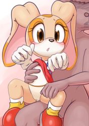  1boy 1girl brown_eyes clothes_lift cream_the_rabbit dress dress_lift furry gloves imminent_penetration interspecies loli panties sega shoes sonic_(series) sonic_(series) underwear  rating:Questionable score:80 user:Hunter_of_Lolis