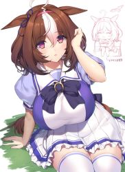  ahoge animal_ears arm_support bad_id bad_twitter_id bow bowtie breasts brown_hair cowboy_shot grass hair_between_eyes hairband hand_up horse_ears horse_girl horse_tail large_breasts long_hair looking_at_viewer meisho_doto_(umamusume) minamon_(vittel221) multicolored_hair parted_lips pleated_skirt purple_bow purple_bowtie red_eyes red_hairband school_uniform short_hair simple_background sitting skirt streaked_hair tail thighhighs thighs umamusume white_background white_hair white_legwear white_skirt  rating:Sensitive score:13 user:danbooru