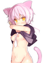  1girl animal_ears black_shirt bottomless breasts cat_ears cat_girl cat_tail clothes_lift hair_between_eyes kurasuke lifting_own_clothes long_hair looking_at_viewer necktie nipples original out-of-frame_censoring pink_hair shirt shirt_lift simple_background sketch sleeveless sleeveless_shirt small_breasts solo standing tail undressing white_background white_necktie yellow_eyes  rating:Questionable score:26 user:danbooru