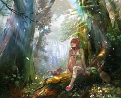  1girl bad_id bad_pixiv_id bare_legs bare_shoulders brown_hair bug rabbit butterfly crop_top day flower forest hage2013 bug log nature open_mouth original outdoors sandals scenery shadow short_hair sitting skirt smile solo squirrel tree tree_shade  rating:Sensitive score:21 user:danbooru
