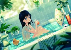 1girl :o achiki bath bathing bathtub bendy_straw black_hair blue_eyes blurry blurry_background blurry_foreground blush commentary_request cup day depth_of_field drink drinking_glass drinking_straw dutch_angle hair_between_eyes holding holding_cup holding_drinking_glass indoors long_hair open_mouth original partially_submerged plant potted_plant rubber_duck see-through shirt short_sleeves sitting solo tile_wall tiles water wet wet_clothes wet_shirt white_shirt window rating:Sensitive score:7 user:danbooru