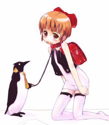 backpack bag bird blush bow collar leash loli necktie penguin randoseru refeia tagme thighhighs rating:Questionable score:9 user:Anonymous