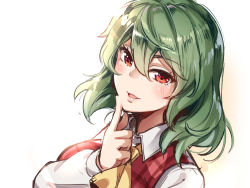 1girl ascot asutora blush breasts commentary_request finger_to_own_chin green_hair hair_between_eyes hand_up kazami_yuuka large_breasts long_sleeves looking_at_viewer parted_lips plaid plaid_vest portrait red_eyes red_vest shirt short_hair simple_background smile solo touhou vest white_background white_shirt yellow_ascot rating:Sensitive score:12 user:danbooru
