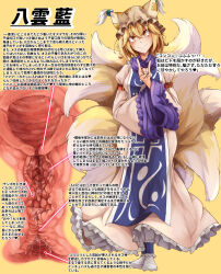  1girl absurdres animal_hat blonde_hair blue_tabard cervix commentary_request cross-section dress fang fox_shadow_puppet fox_tail frilled_dress frilled_hat frills full_body hair_between_eyes hand_up hat head_tilt highres kitsune kyuubi looking_at_viewer mahimaru medium_hair mob_cap multiple_tails pussy_juice sleeve_garter socks solo standing tabard tail tassel touhou translation_request uterus white_dress white_hat white_socks wide_sleeves yakumo_ran yellow_background yellow_eyes  rating:Explicit score:10 user:danbooru