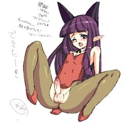  1boy dry6 erection long_hair male_focus oekaki penis pointy_ears purple_hair simple_background solo testicles trap uncensored 