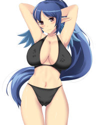  1girl arms_up blue_hair blush bra breasts elf highres huge_breasts judith_(tales) large_breasts pointy_ears solo tagme underwear  rating:Questionable score:29 user:yosinoya