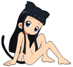  1girl :o animal_ears black_hair blue_eyes blunt_bangs c1_(70904919) cat_ears cat_tail female_focus flat_chest kemonomimi_mode koizumi_marina loli looking_at_viewer navel nude ojamajo_doremi simple_background solo tail white_background  rating:Questionable score:15 user:romantic_colors