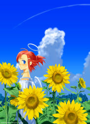  1girl 53box angel blue_eyes cloud day female_focus flower hair_ornament hairclip halo jewelry nature necklace original outdoors ponytail red_hair sango_(53box) short_hair sky solo sunflower wings 