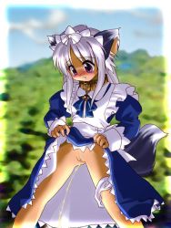 1girl adult_pyou animal_collar animal_ears blue_dress blue_neckwear blush bow bowtie censored clothes_lift cloud collar dark_skin dog_ears dog_girl dog_tail dress dress_lift forest hair_bow long_hair long_sleeves looking_down maid maid_headdress nature panties panties_around_leg parted_lips peeing purple_eyes pussy shippo_koubou silver_hair sky sparkle standing tail teeth tree underwear white_panties rating:Explicit score:10 user:cpee