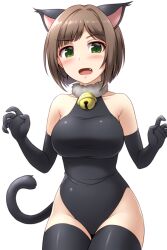  1girl :o animal_ears bare_shoulders bell black_gloves black_leotard black_thighhighs blush breasts brown_hair cat_ears cat_tail claw_pose collarbone cowboy_shot elbow_gloves fang fur_collar gloves green_eyes groin hands_up idolmaster idolmaster_cinderella_girls jingle_bell large_breasts leotard looking_at_viewer maekawa_miku neck_bell open_mouth pataneet raised_eyebrow short_hair simple_background solo tail thighhighs tight_clothes white_background  rating:Sensitive score:5 user:Sir_Cumalot