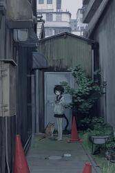  1girl alley animal_ears awning barefoot black_hair black_sailor_collar black_skirt blue_bow blue_bowtie blue_eyes bow bowtie brick_floor building bush cardigan cat cat_ears cat_girl cat_tail cityscape corrugated_galvanized_iron_sheet day door feet fusebox grass highres long_sleeves looking_at_viewer miniskirt original outdoors plant pleated_skirt potted_plant sailor_collar sakiika0513 scenery shed short_hair sidelocks skirt solo tail traffic_cone white_cardigan wide_shot 