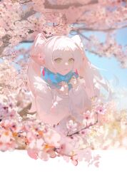  1girl absurdres adjusting_scarf blue_scarf branch cardigan cherry_blossoms earrings forehead frieren green_eyes hair_intakes highres jewelry leleyoukuailele looking_at_viewer open_mouth outdoors parted_bangs pointy_ears scarf short_eyebrows solo sousou_no_frieren spring_(season) tree twintails upper_body white_cardigan white_hair 
