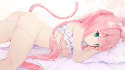  1girl animal_ear_fluff animal_ears ass bandaid bandaid_on_pussy bare_shoulders bed_sheet bikini bikini_pull breasts cat_ears cat_girl cat_tail chii_aruel clothes_pull commentary_request feet_out_of_frame green_eyes kemonomimi_mode long_hair medium_breasts pillow pink_hair solo soulworker swimsuit tail underboob usagimiko very_long_hair white_bikini  rating:Questionable score:92 user:danbooru