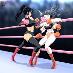2girls artist_request boxing catfight commission fighting multiple_girls tagme