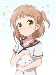 1girl :3 =_= angora_rabbit animal bad_id bad_twitter_id blouse blush breasts closed_eyes closed_mouth collarbone commentary extra flower gochuumon_wa_usagi_desu_ka? headpat holding holding_animal hoto_cocoa&#039;s_school_uniform light_brown_hair looking_at_viewer one_side_up plaid plaid_sailor_collar rabbit red_sailor_collar red_star_(toranecomet) sailor_collar school_uniform serafuku shirt short_hair short_sleeves small_breasts tippy_(gochiusa) upper_body white_background white_shirt yellow_eyes