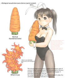  1girl animal_ears black_eyes black_hair carrot dildo fake_animal_ears long_hair looking_at_viewer original pantyhose playboy_bunny rabbit_ears rabbit_girl sex_toy simple_background solo tentacles translated twintails vibrator white_background xiin  rating:Explicit score:79 user:Welijnis