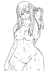 absurdres bath breasts erza_scarlet fairy_tail highres monochrome nipples pussy rating:Explicit score:8 user:asd001