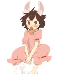  1girl ahoge animal_ear_fluff animal_ears breasts brown_eyes brown_hair carrot_necklace citrus_(place) commentary_request covering_privates covering_crotch dress ears_up feet_out_of_frame highres inaba_tewi jewelry necklace open_mouth orange_pupils pink_dress puffy_short_sleeves puffy_sleeves rabbit rabbit_ears short_hair short_sleeves simple_background small_breasts solo surprised touhou v-shaped_eyebrows v_arms white_background  rating:Sensitive score:7 user:danbooru