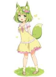  1girl :d animal_ear_fluff animal_ears arm_behind_back blunt_bangs blush breasts bug butterfly dress fox_ears fox_girl fox_tail frilled_dress frilled_sleeves frills full_body grass green_eyes green_hair head_wreath insect looking_at_viewer mary_janes open_mouth original sasaame shoes short_dress short_sleeves simple_background small_breasts smile socks solo standing tail white_background yellow_dress  rating:Sensitive score:9 user:danbooru