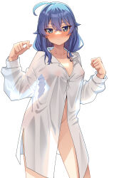  1girl absurdres ahoge blue_eyes blue_hair blush braid braided_ponytail breasts chubb closed_mouth collarbone covered_erect_nipples cowboy_shot crossed_bangs hair_flaps hands_up highres light_frown long_hair long_sleeves looking_at_viewer medium_breasts mushoku_tensei naked_shirt paid_reward_available partially_unbuttoned roxy_migurdia see-through see-through_silhouette shirt simple_background solo white_background white_shirt  rating:Questionable score:171 user:danbooru