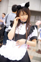 animal_ears apron cat_ears collar cosplay highres leash maid maid_apron photo_(medium) pochi_(model) rating:Sensitive score:0 user:Anonymous