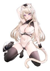  1girl absurdres animal_ear_fluff animal_ears arm_up bare_shoulders black_panties black_thighhighs black_wristband blue_nails breasts cat_ears cat_girl cat_tail cleavage_cutout clothing_cutout commentary crescent crescent_earrings crop_top earrings fingernails flower gluteal_fold hair_flower hair_ornament highleg highleg_panties highres jewelry kneeling large_breasts light_blush light_brown_hair long_fingernails long_hair micro_panties mole mole_on_breast mole_on_shoulder mole_on_stomach nail_polish navel no_shoes non-humanoid_robot original panties parted_lips purple_eyes robot robot_animal shirt simple_background sleeveless sleeveless_shirt solo stomach string_panties swept_bangs symbol-only_commentary tail teeth thighhighs tuffi-chan turtleneck turtleneck_shirt underbust underwear very_long_hair white_background white_flower 